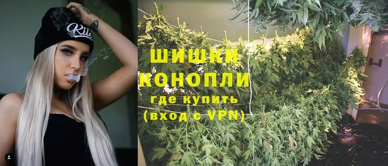 купить  цена  Оса  ОМГ ОМГ ссылка  Конопля Ganja 